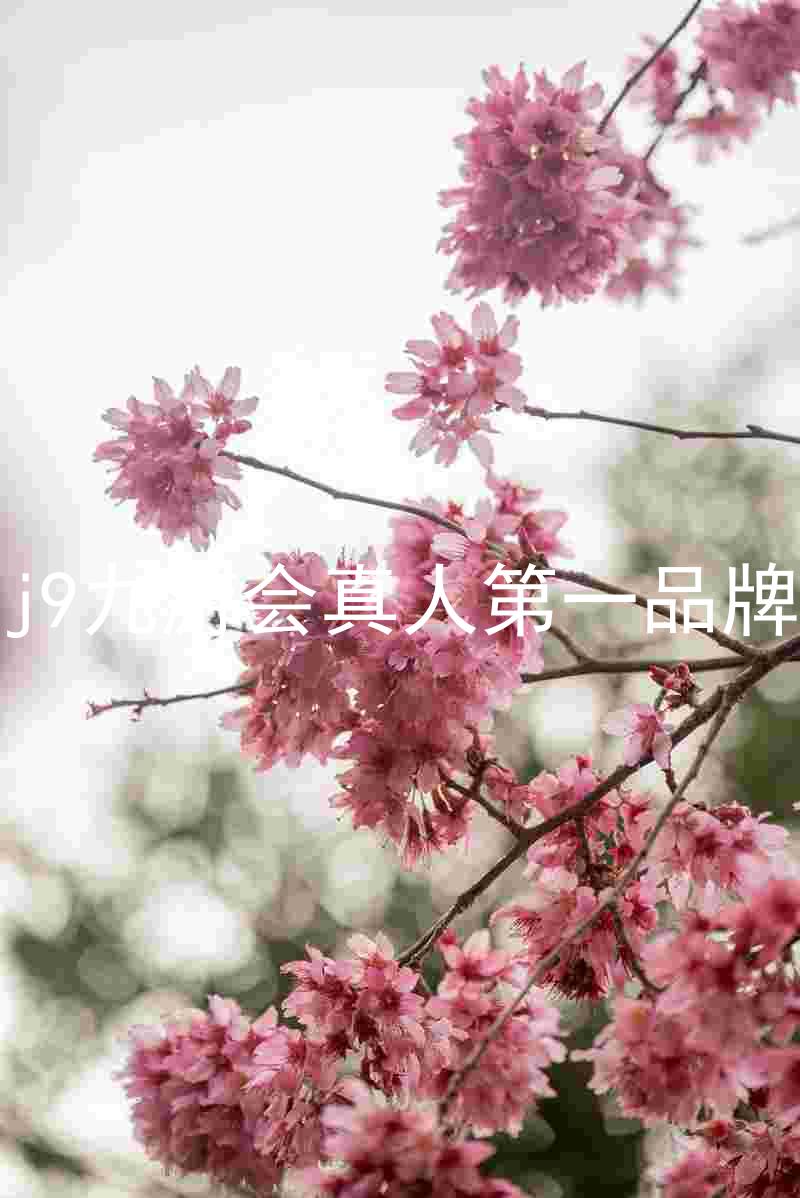 j9九游会真人第一品牌